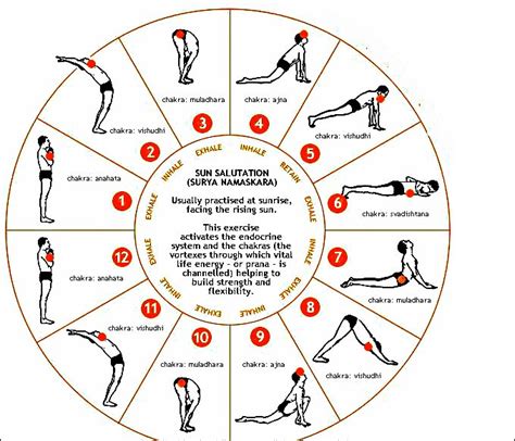 Benefits Of Doing Surya Namaskar In Weight Loss