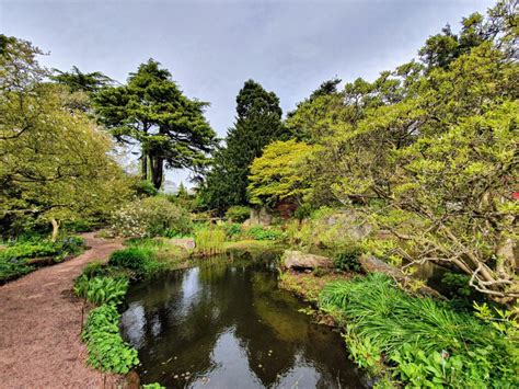 The Birmingham Botanical Gardens UK A Nice Place For Photos