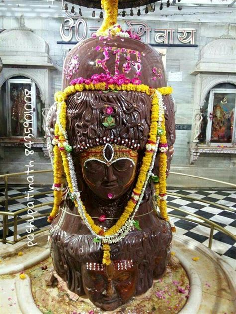 Jai pashupatinath mahadev | Vedic art, Lord shiva family, Hindu deities