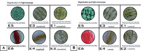 shows wool fibers with a magnification of 40x and 20x by light ...