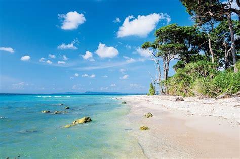 20 Best Beaches In Andaman & Nicobar Islands