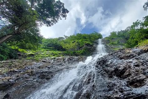 Popular Waterfalls in Goa to Visit in 2024