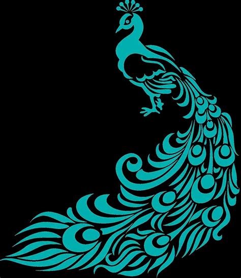 Peacock Drawing Color | Free download on ClipArtMag