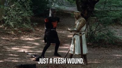 Monty Python Black Knight Gif