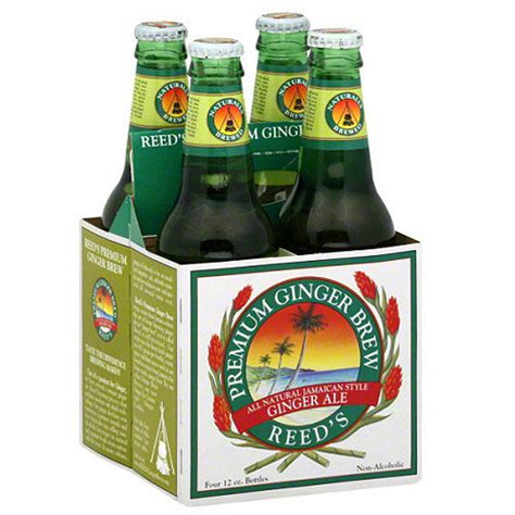 Reed's Ginger Beer Reed's Premium Ginger Brew Ginger Ale, 48 fl oz ...