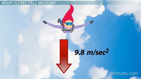 Overview of Graphs of Free Fall Motion - Lesson | Study.com