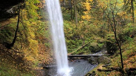 Top 5: Best kid-friendly waterfall hikes near Salem