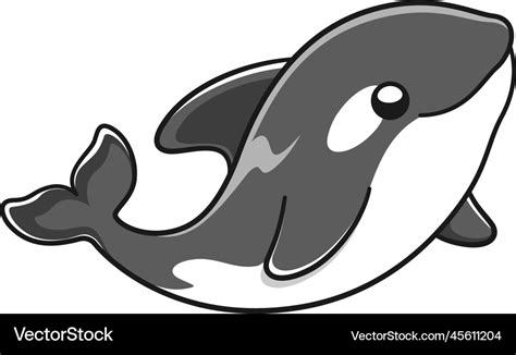 Cute orca whale killer whale cartoon clipart Vector Image