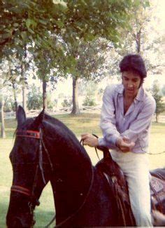 Elvis and his Horse 💛 - Elvis Presley Photo (43832839) - Fanpop