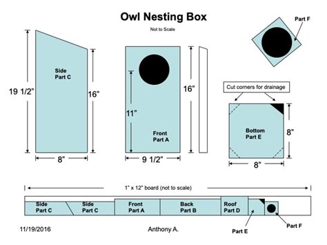 Screech Owl House Plans: How to Build a Screech Owl Box | FeltMagnet