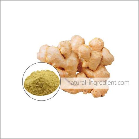 China Wholesale Ginger Extract For Skin Manufacturers and Suppliers ...