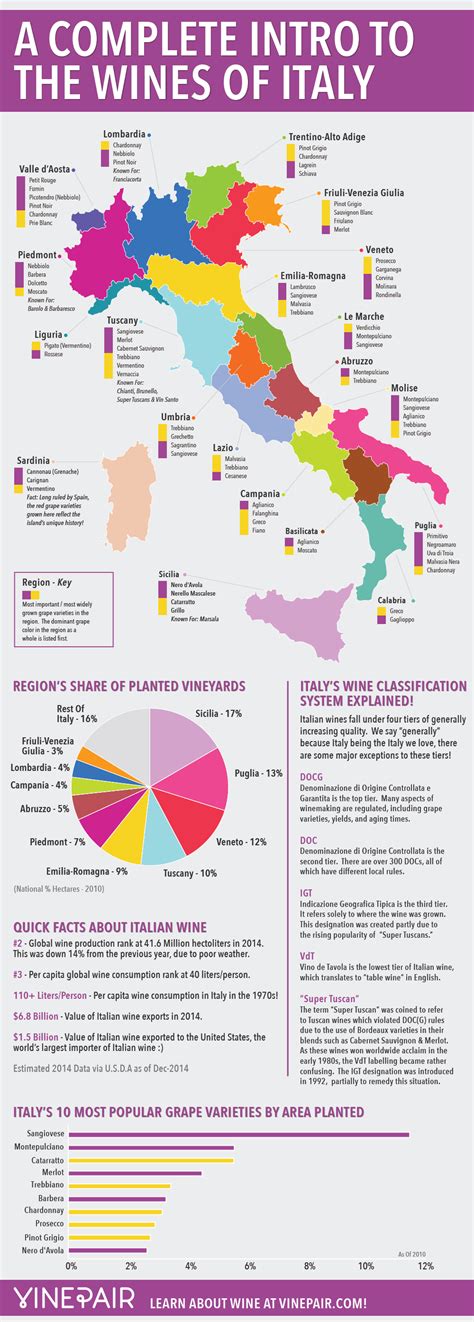 A Complete Introduction To The Wines Of Italy: MAP & INFOGRAPHIC | VinePair