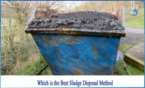 Which is the best sludge disposal method - Netsol Water