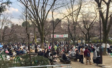 Sakura 2016: Inokashira Park – Lakbayer