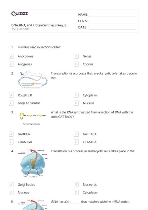 50+ rna and protein synthesis worksheets on Quizizz | Free & Printable