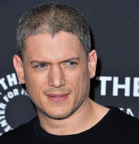 Wentworth Miller Came Out as Gay in 2013 — inside the 'Prison Break ...