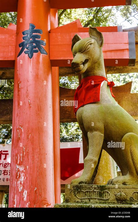 Fushimi Inari Taisha shrine, Torii gates. and fox statue Stock Photo ...