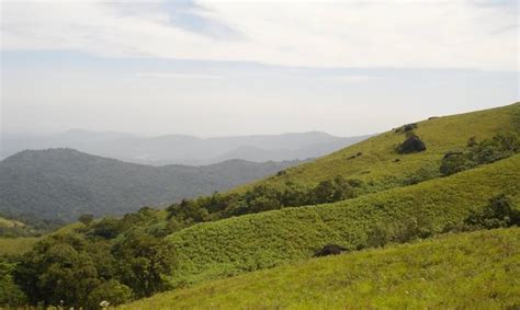 8 Best Treks in Wayanad 2023 | Book & Get Upto 25% Off