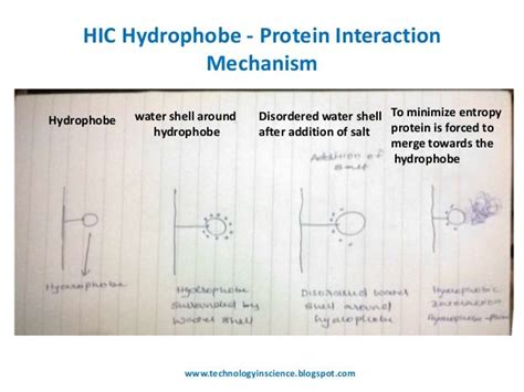 Hydrophobic interaction chromatography [HIC] Theory and Principle