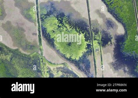 The marshy, flooded area. It is a unique ecosystem, rich in flora and ...