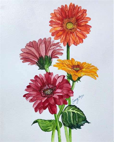 Gerbera Daisy Watercolor Painting