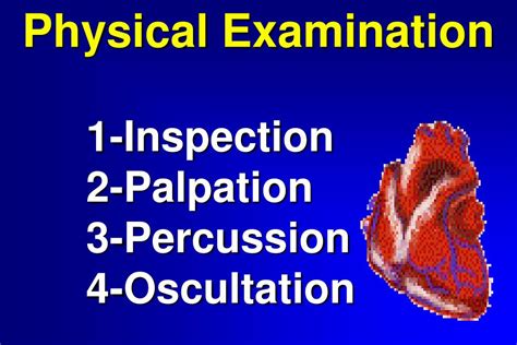 PPT - INSPECTION AND PALPATION OF THE PRECORDIUM PowerPoint ...