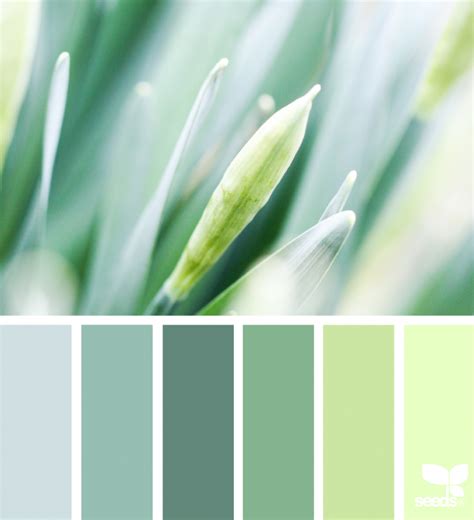 #color #inspiration #nature #green