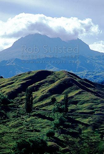 Mount (Mt) Hikurangi (1752m) in the Raukumara Range. First to see the ...