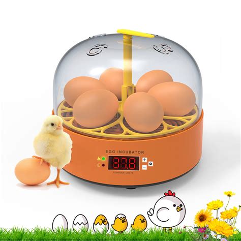 Buy Egg Incubator, 16-32 Eggs Incubators for Hatching Eggs with ...