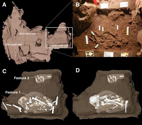 Image of two burial features discovered in the Dinaledi Chamber, Rising ...