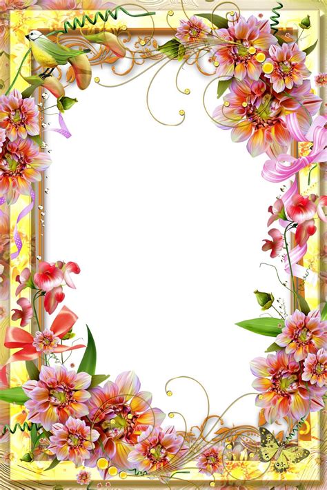 Floral frame | Flower frame, Borders and frames, Flower border