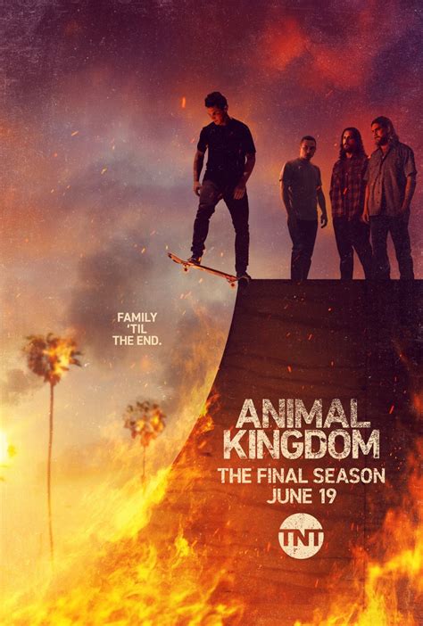 Animal Kingdom (2016) S06E13 - WatchSoMuch