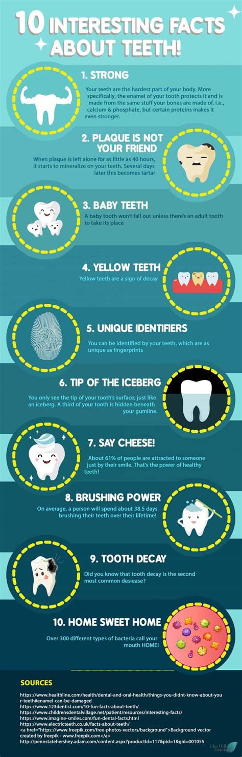 10 Interesting Facts About Teeth - Infographic List