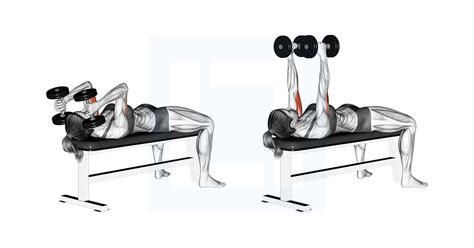 Dumbbell Lying Triceps Extension - Guide, Benefits, and Form