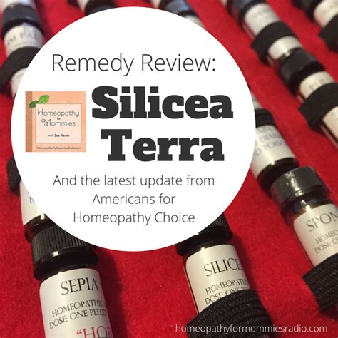 Remedy Review: Silicea terra (and an update from Americans for ...