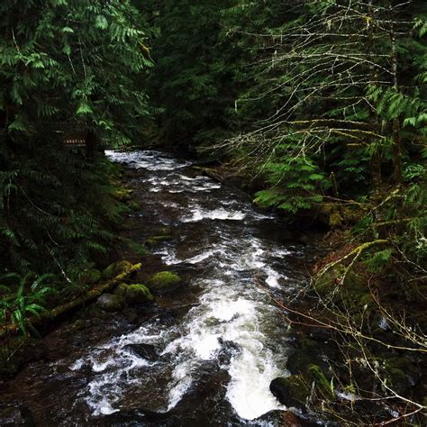 Mt. Hood National Forest. Photo by Adriana Jaime. National Forest ...