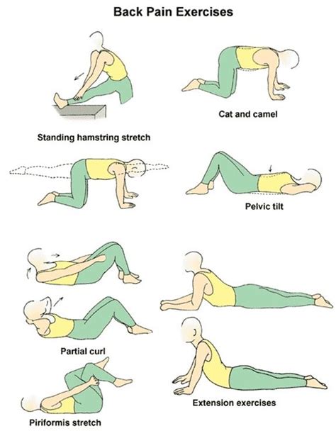 Acupressure massage for lower back pain relief: Back pain management ...