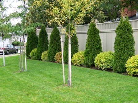 love the types of bushes and how they alternate. along the back fence ...