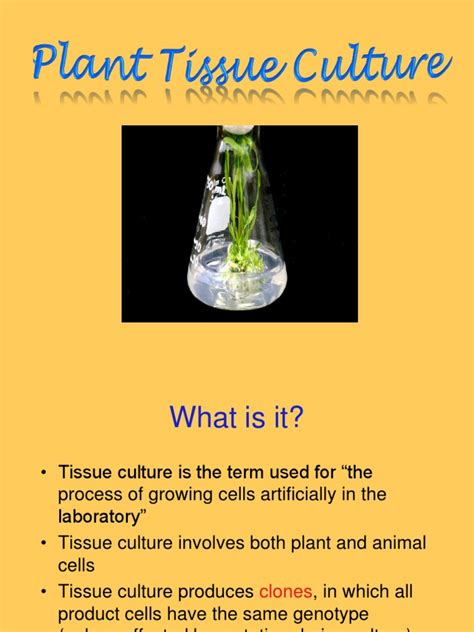 Plant Tissue Culture and Applications | Auxin | Plant Hormone