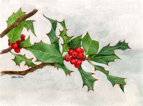 Holly Christmas Cards - Etsy