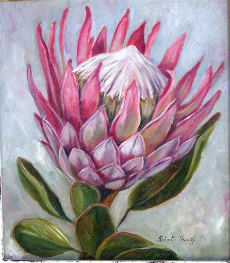 Image result for protea drawing | Protea art, Botanical art, Floral ...