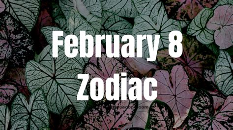 February 8 Zodiac Sign Personality, Compatibility, Traits and More