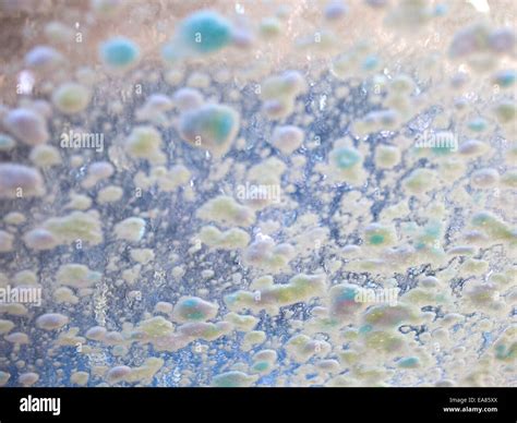 Soap suds on windshield of car going through car wash Stock Photo - Alamy