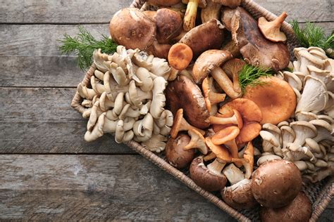 39 Different Types of Edible Mushrooms - Clean Green Simple