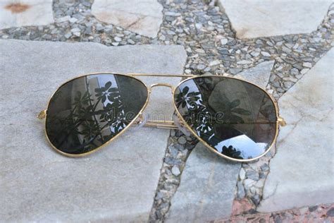 Gold Frame Aviator Black Sunglasses Stock Photo - Image of closeup ...