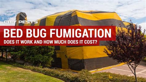 Bed Bug Fumigation: How does it work and how much does it cost