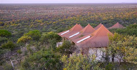 Etosha Safari Lodge - five-star food & service without breaking the bank!