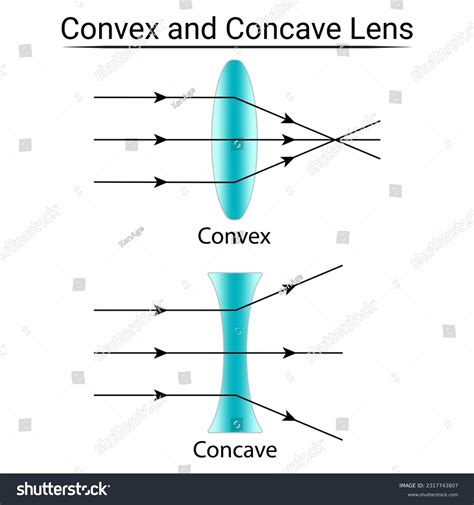 8+ Thousand Concave Convex Royalty-Free Images, Stock Photos & Pictures ...