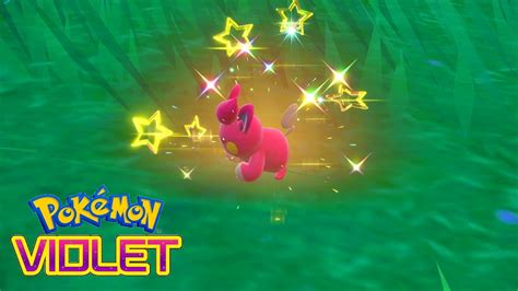 Shiny Pawmi - Pokemon Scarlet and Violet - YouTube