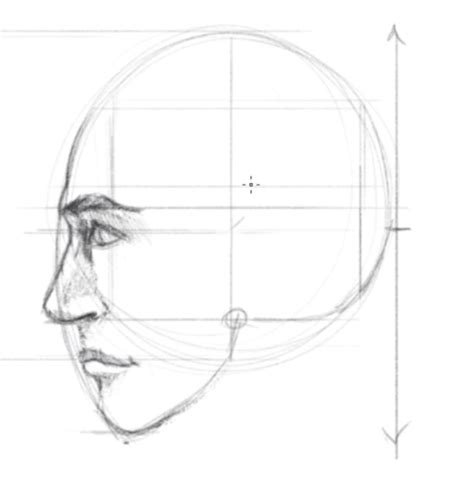 How To Draw Face In Profile - Thoughtit20